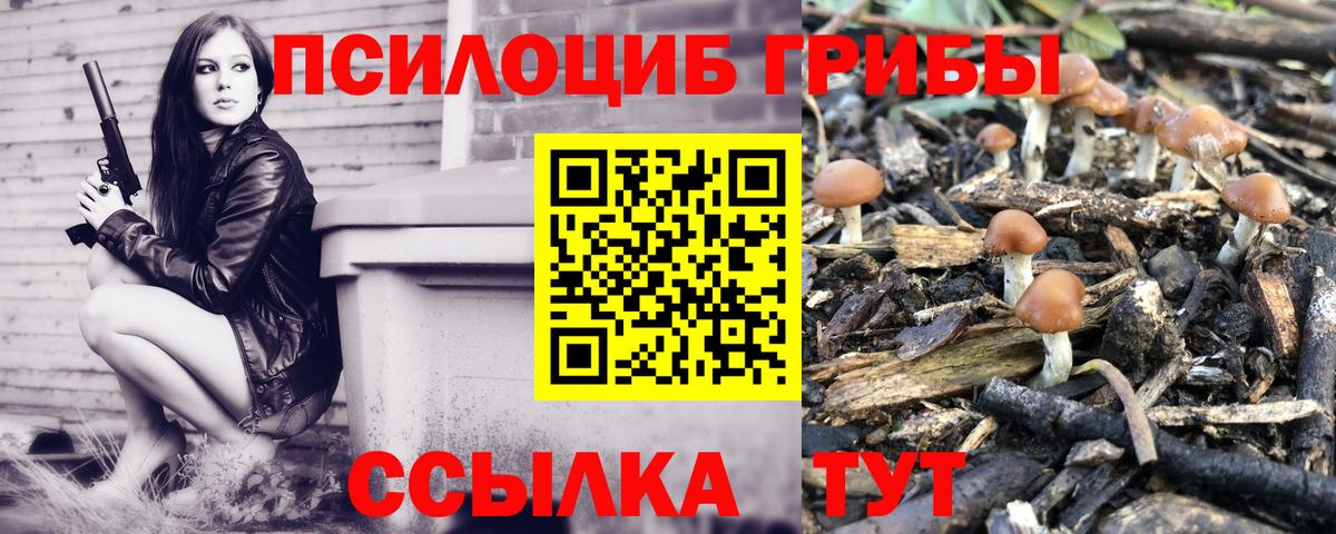 Псилоцибиновые грибы MAGIC MUSHROOMS Верхний Уфалей
