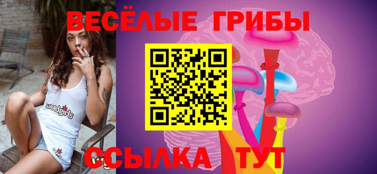 Псилоцибиновые грибы MAGIC MUSHROOMS  Вход с VPN  Верхний Уфалей 